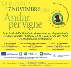 Andar per vigne 2024
